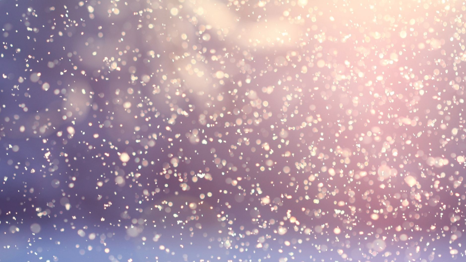 Winter Collection 2025